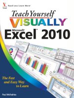 teach yourself visually excel 2010 b