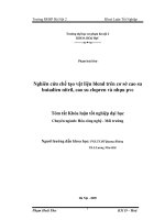 Nghiên cứu chế tạo vật liệu Blend trên cơ sở cao su Butadien Nitril, Cao su Clopren và nhựa PCV