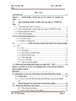 Đồ Án Tốt Nghiệp - Giải Pháp Marketing Nhằm Thúc Đẩy Hoạt Động Kinh Doanh Tại Công Ty TNHH Tài Tiến