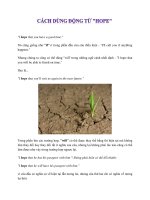 Cách dùng dộng từ HOPE