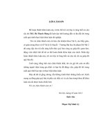 Đồng nhất thức Ward Takahashi cho Spinor QED khóa luận tốt nghiệp