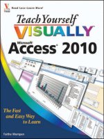 teach yourself visually access 2010 a