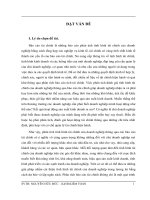 Phân tích báo cáo tài chính Công ty Cổ phần bột giặt Lix