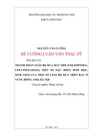 Thành phần loài bọ rùa bắt mồi (coleoptera: Coccinellidae); một số đặc điểm sinh học, sinh thái của một số loài bọ rùa trên rau ở vùng đông anh, hà nội