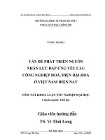 Vấn đề phát triển nguồn nhân lực đáp ứng yêu cầu công nghiệp hoá, hiện đại hoá ở Việt Nam hiện nay