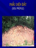 cách mô tả phẫu diện đất
