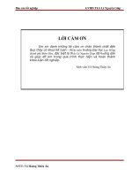 Kế toán vốn bằng  tiền TẠI CÔNG TY TNHH Kiểm toán Tâm Việt – Chi nhánh Đồng Nai.