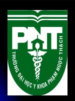 Giải phẫu chi tiết cơ đầu mặt cổ