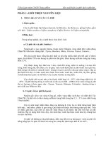 Công nghệ sản xuất bột cà phê tách cafein