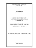 Nghiên cứu vữa chịu axit trên cơ sở đá Diabaz và Polyme hệ Na2O SiO2 H2O
