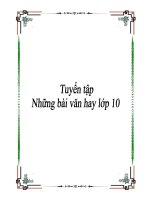 Tuyển tập những bài văn hay lớp 10