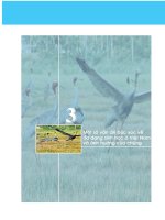 Một số vấn đề bức xúc về đa dạng sinh học ở việt nam và ảnh hưởng của chúng