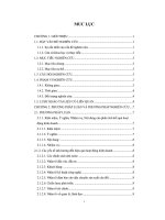 LUẬN VĂN Phân tích hiệu quả hoạt động sản xuất kinh doanh công ty cổ phần Cà Mau