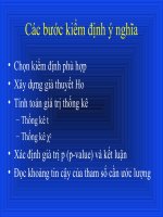 SDH thống kê phân tích_Kiểm định ý nghĩa