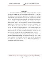 Thiết kế nhà máy sản xuất kháng sinh Vancomycin năng suất 5000kg sản phẩmnăm