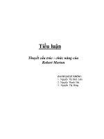 Tiểu luận thuyết cấu trúc- chức năng của robert merton