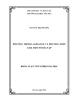 phương trình lagrange và phương pháp giải một số bài tập