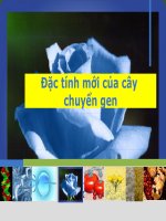 Bài giảng Những đặc tính mới của cấy chuyển gen slide