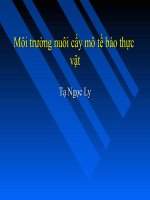 Môi trường nuôi cấy thực vật
