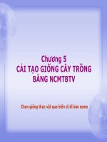 Nuôi cấy tế bào đơn slide