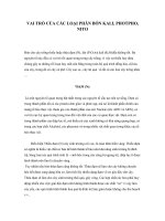 VAI TRÒ CỦA CÁC  LOẠI PHÂN BÓN ( K , N , P )