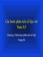 Các bước phân tích số liệu với Stata 8.0