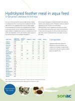 Hydrolyzed feather protein in aqua feed