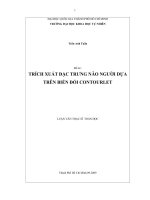 Trích xuất đặc trưng não người dựa trên biến đổi contourlet