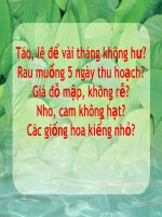 Các chất kích thích sinh trưởng ở thực vật full slide