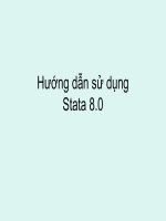 Hướng dẫn sử dụng Stata 8.0 UMP