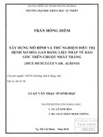 Xây dựng mô hình và thử nghiệm điều trị bệnh xơ hóa gan bằng liệu pháp tế bào gốc trên chuột nhắt trắng (mus musculus var. Albino)