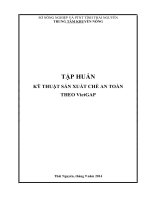 HƯỚNG DẪN SẢN XUẤT CHÈ AN TOÀN THEO VIETGAP 210 4 KN 1
