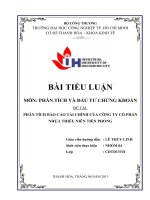 1 PHÂN TÍCH báo cáo tài CHÍNH của CÔNG TY cổ PHẦN NHỰA THIẾU NIÊN TIỀN PHONG
