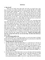 tóm tắt luận án nghiên cứu thành phần hóa học và hoạt tính sinh học của ba loài thuộc chi bách bộ (stemona) mọc ở lào