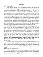 tóm tắt luận an nghiên cứu đặc điểm sinh học và thành phần hoá học tinh dầu của các loài trong chi quế (cinnamomum schaeff.) và bời lời (litsea lamk.)