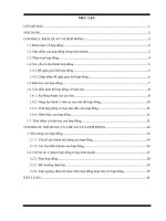 Pháp luật về đầu tư theo hợp đồng hợp tác kinh doanh (BCC)  