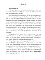 khóa luận tốt nghiệp nghiên cứu các khu công nghiệp ở việt nam