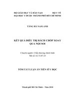 tóm tắt luận án kết quả điều trị rách chóp xoay qua nội soi