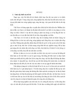 nghiên cứu ứng dụng túi vải địa kỹ thuật trong xây dựng đê quai lấn biển tiên lãng - hải phòng