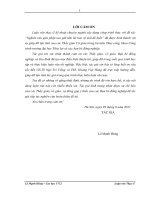 nghiên cứu giải pháp neo giữ tấm lát bảo vệ mái đê biển