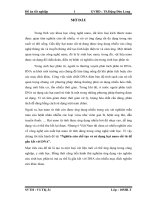 Nghiên cứu chế tạo và sử dụng hạt nano sắt từ để gắn kết với DNA