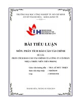 PHÂN TÍCH báo cáo tài CHÍNH của CÔNG TY cổ PHẦN NHỰA THIẾU NIÊN TIỀN PHONG