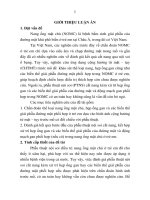 tóm tắt luận án kết quả phẫu thuật nội soi cắt nang ống mật chủ ở trẻ em dựa trên chẩn đoán hình ảnh cộng hưởng từ mật – tụy