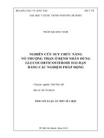 tóm tắt luận án nghiên cứu suy chức năng vỏ thượng thận ở bệnh nhân dùng glucocorticosteroid dài hạn bằng các nghiệm pháp động