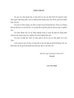 nghiên cứu tính toán kết cấu đập tràn trên nền cọc áp dụng tính toán tràn xả lũ đá hàn, tỉnh hà tĩnh