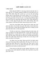 tóm tắt luận án tiên sĩ nghiên cứu chẩn đoán và điều trị bướu diệp thể vú