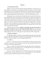 tóm tắt luận án nghiên cứu, đánh giá cảnh quan cho mục đích sử dụng hợp lý tài nguyên và bảo vệ môi trường tỉnh quảng ngãi