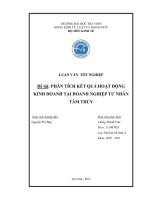 Phân tích kết quả hoạt động kinh doanh tại doanh nghiệp tư nhân tâm thủy