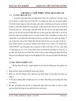 Chuyên đề tốt nghiệp: GIẢI PHÁP NÂNG CAO HOẠT ĐỘNG BÁN HÀNG CỦA CÔNG TY TNHH HUY THÀNH PHÁT