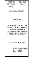 tóm tắt luận án tiếng anh nghiên cứu đặc điểm lâm sàng, cận lâm sàng và kết quả phẫu thuật hở van động mạch chủ tại bệnh viện hữu nghị việt - đức